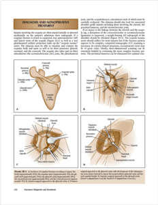 Interior Page