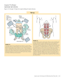 Interior Page